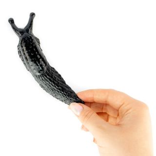 Obrázek z Slimák lepkavý na kartě 19x9cm (24) NV174 